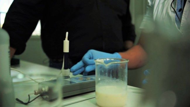 POLITICA DE CALIDAD 02